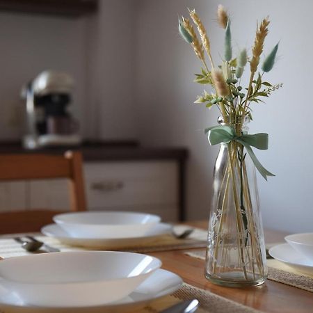 Ketal Apartment Braşov Dış mekan fotoğraf