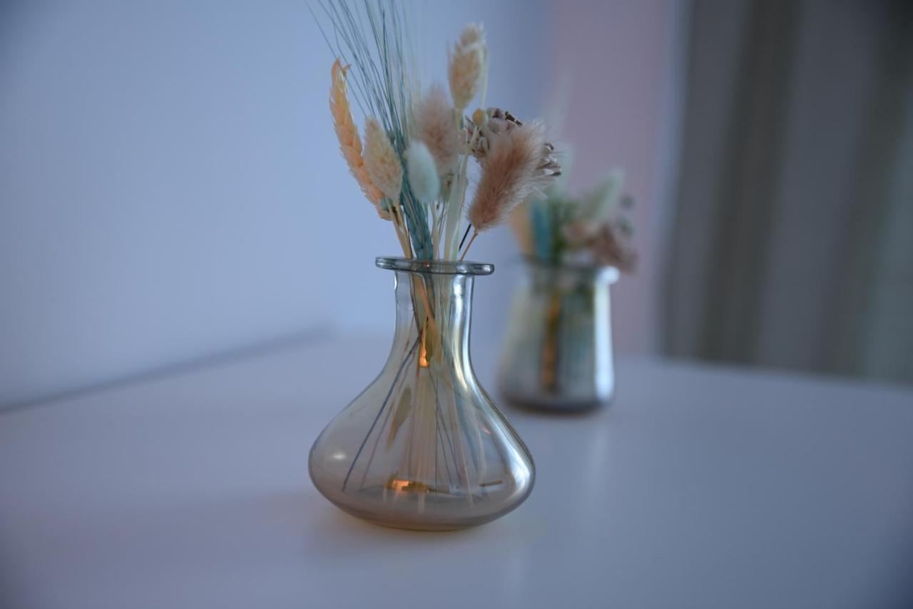 Ketal Apartment Braşov Dış mekan fotoğraf